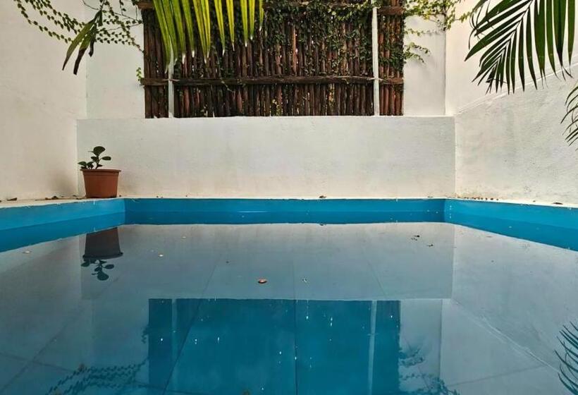Hotel Calaila Premium Plunge Pool Villas