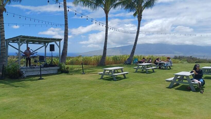 בית מלון כפרי Campcar Maui Jeeps Suvs Hybrid Camper Van Rentals With Equipment And Travel Advice