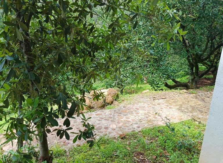 فندق Fincal El Soñador