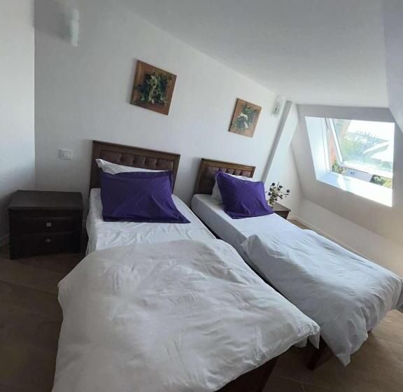 فندق Hôtel Le Pixi Angelus