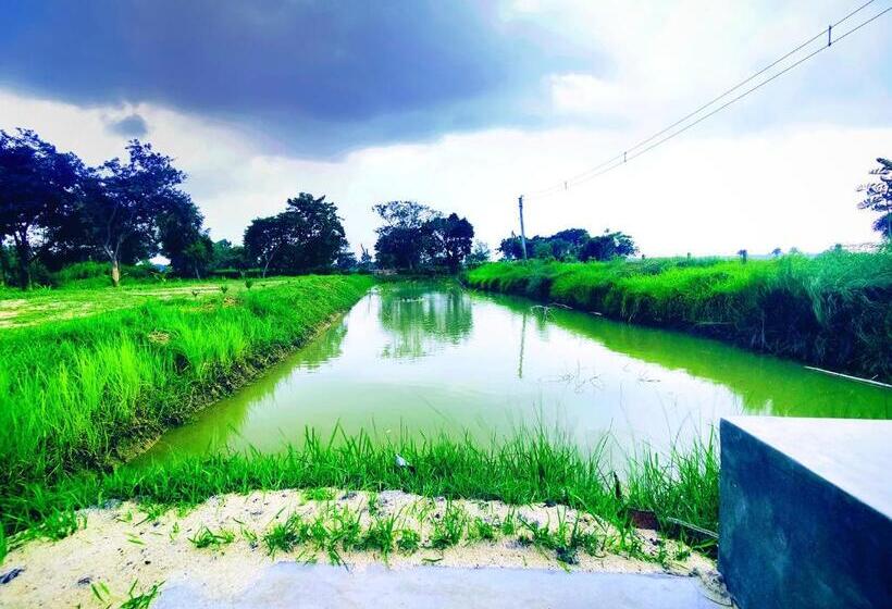 酒店 Kaia Farm Stay & Garden Cafe Free Fishing