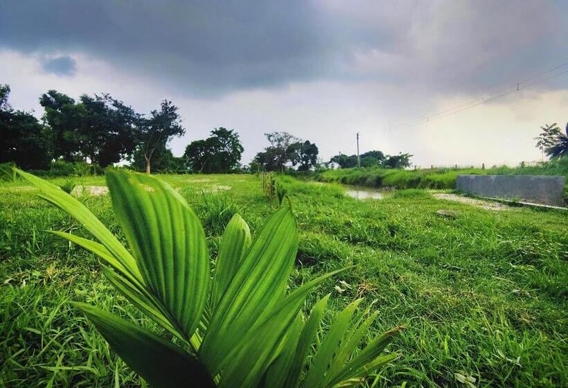 酒店 Kaia Farm Stay & Garden Cafe Free Fishing