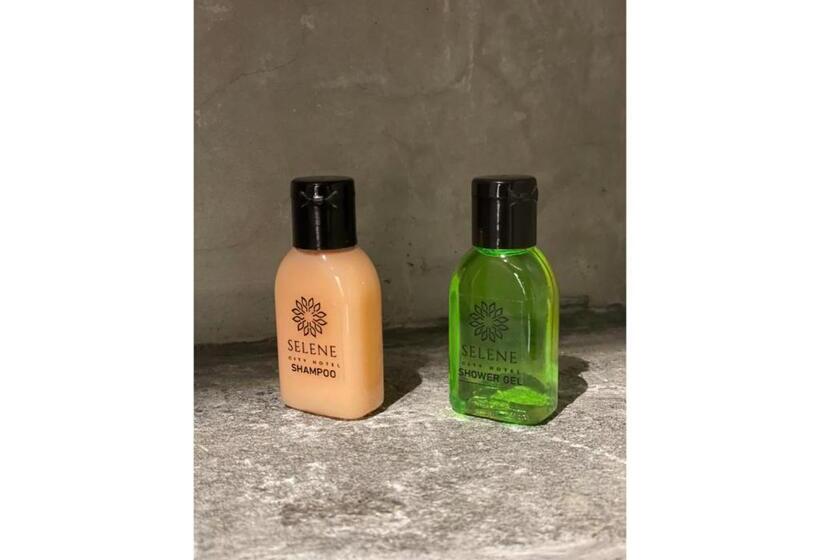 ホテル Selene City