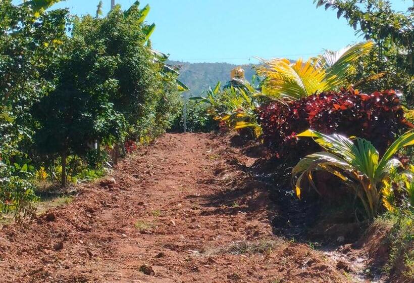 בית מלון כפרי The Shire Charming Farmstay