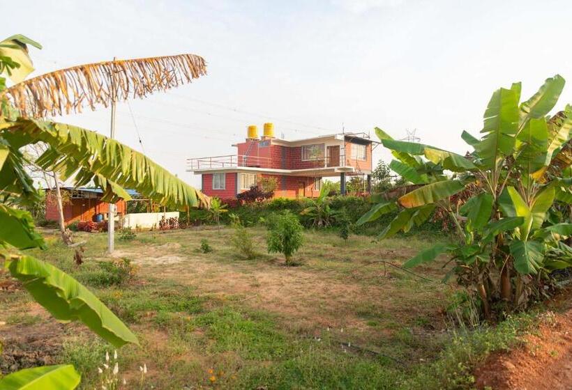 בית מלון כפרי The Shire Charming Farmstay