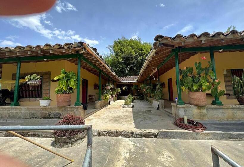 בית מלון כפרי Villa Alicia Finca