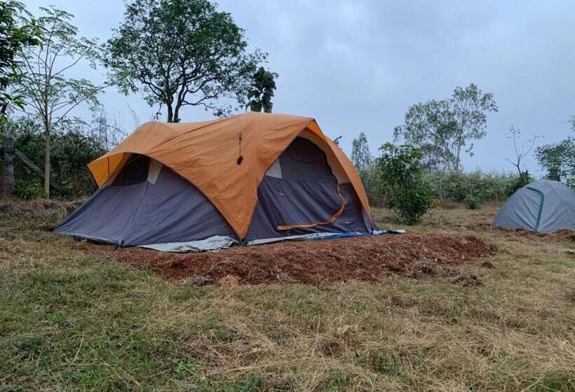 בית מלון כפרי Wilderness Jungle Camp
