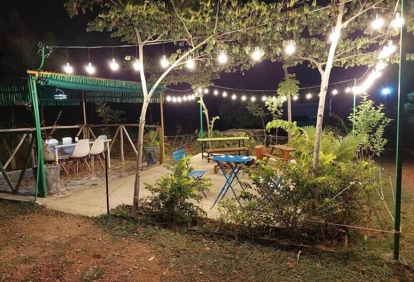 酒店 Wilderness Jungle Camp