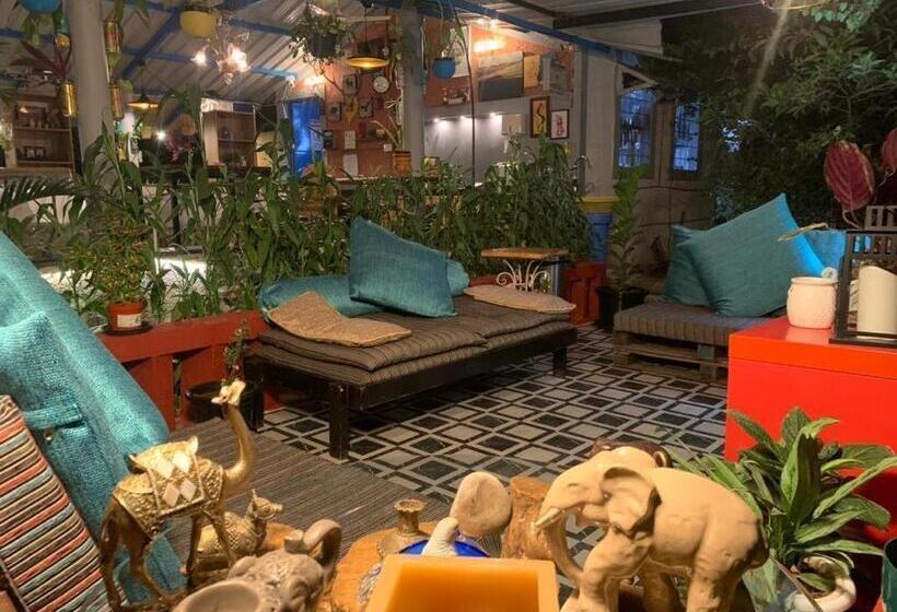 בית מלון כפרי Wilderness Jungle Camp