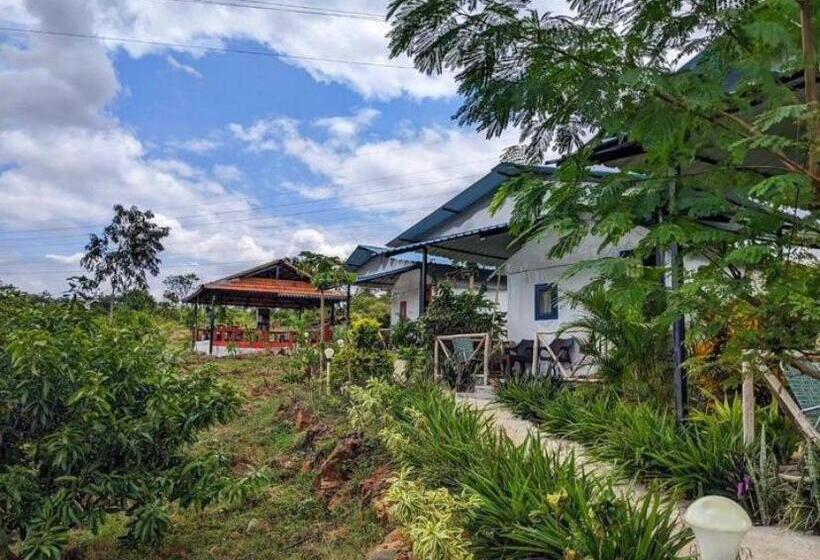 בית מלון כפרי Wilderness Jungle Camp
