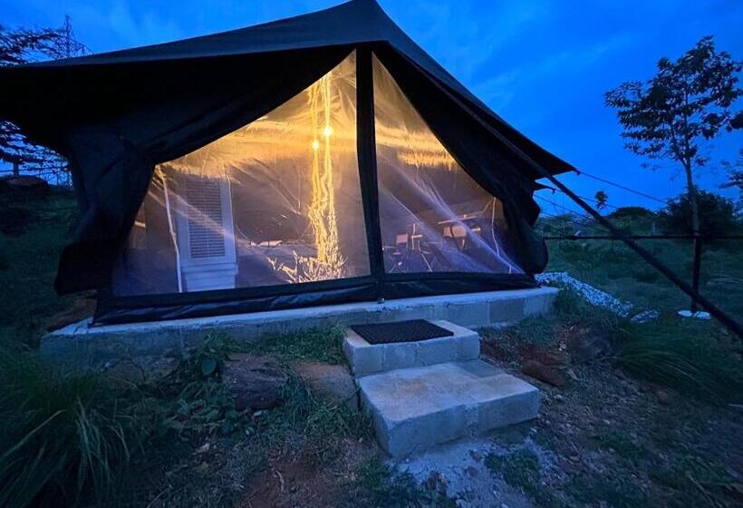 בית מלון כפרי Wilderness Jungle Camp