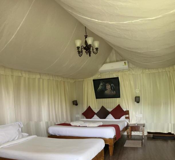 酒店 Wilderness Jungle Camp