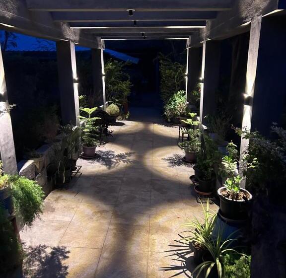 酒店 Wilderness Jungle Camp