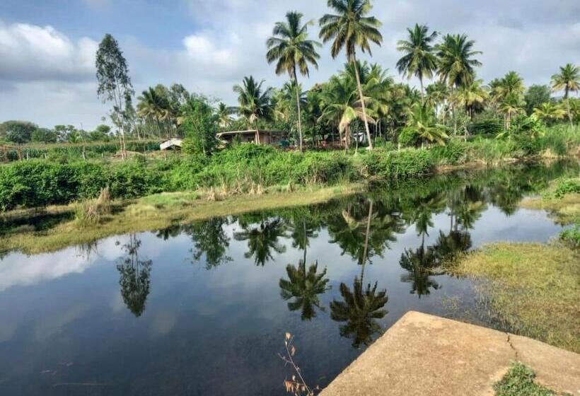 בית מלון כפרי Wilderness Jungle Camp