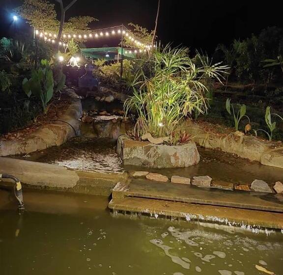 酒店 Wilderness Jungle Camp