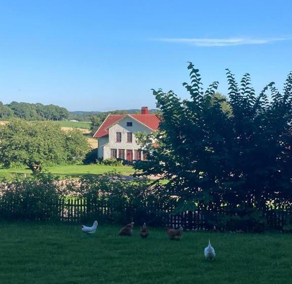 Magnoliabackens Bed And Breakfast