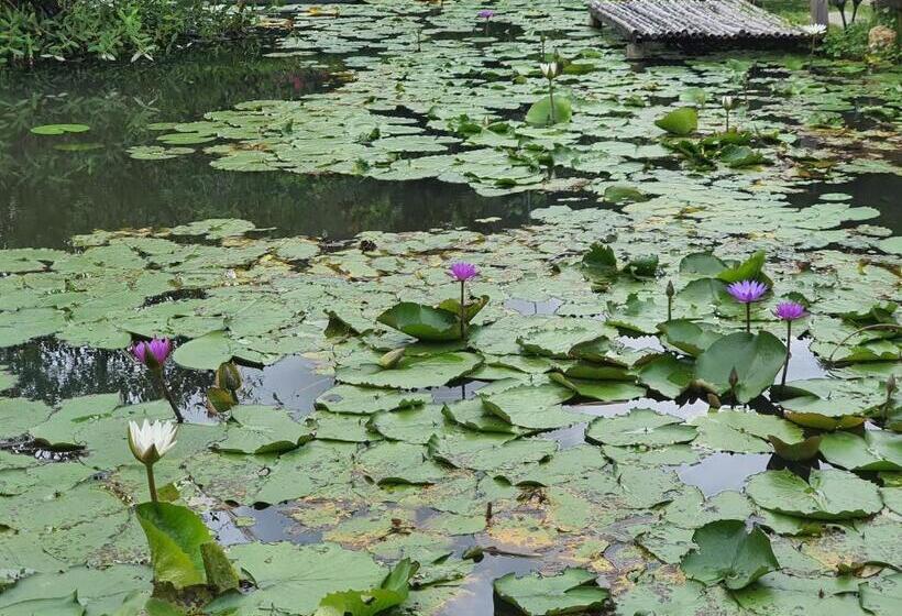 펜션 ธารธารา ออนเซน เชียงราย