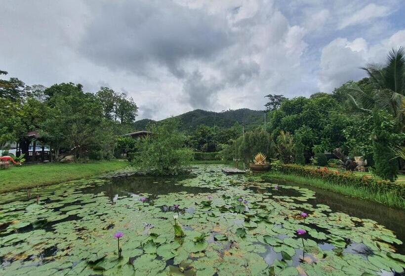 펜션 ธารธารา ออนเซน เชียงราย