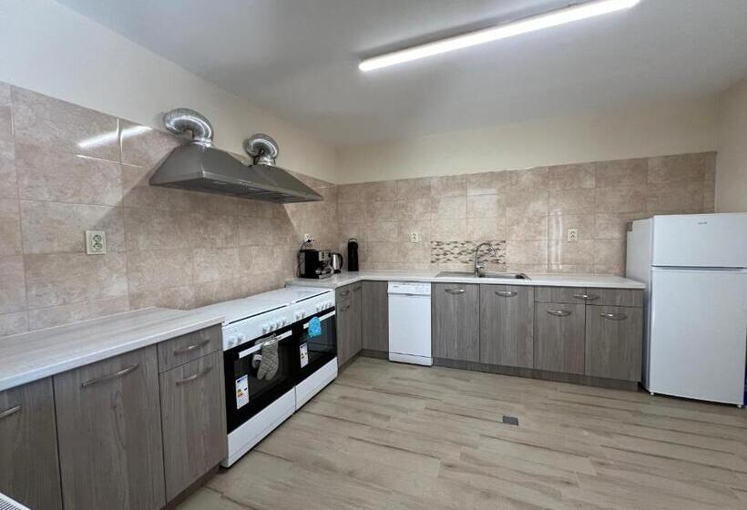 Pension (Hôtel basse catégorie) къща за гости бадови