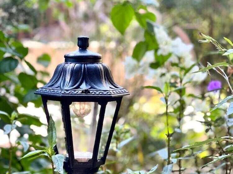 펜션 Flor Guest House