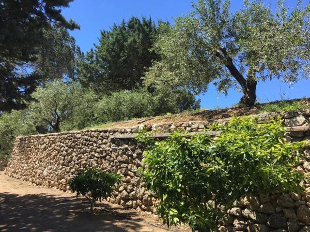 Пансион Logement Provence Dans Domaine Oléicole