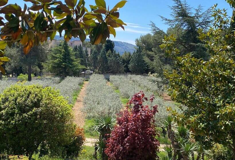 Пансион Logement Provence Dans Domaine Oléicole