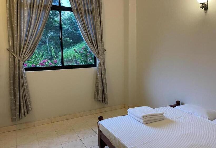 膳宿费 Lush Breeze