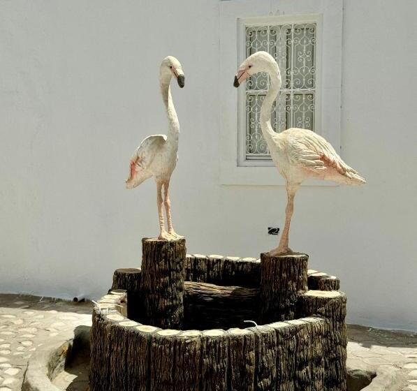 بنسيون Menzel Yahia