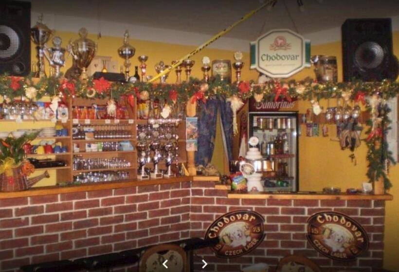 פנסיון Penzion U Burešů Staré Sedlo