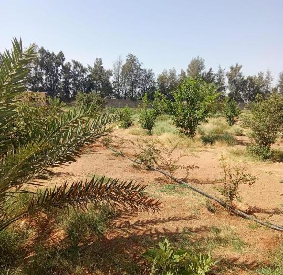 منتجع التربية