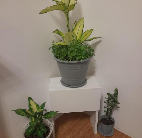 旅馆 Mundior Staycation