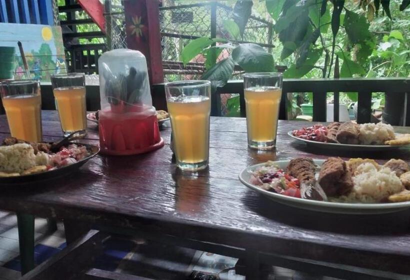 旅馆 Posada Madre Tierra