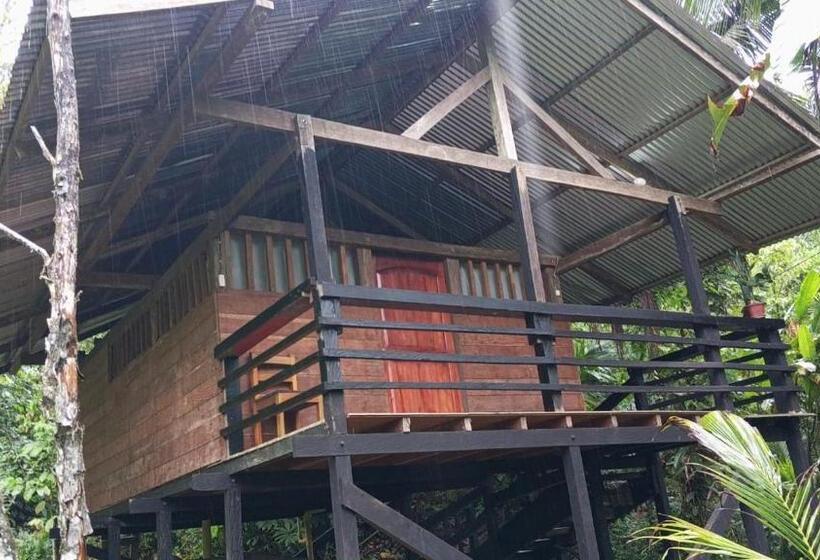 هاستل Posada Madre Tierra