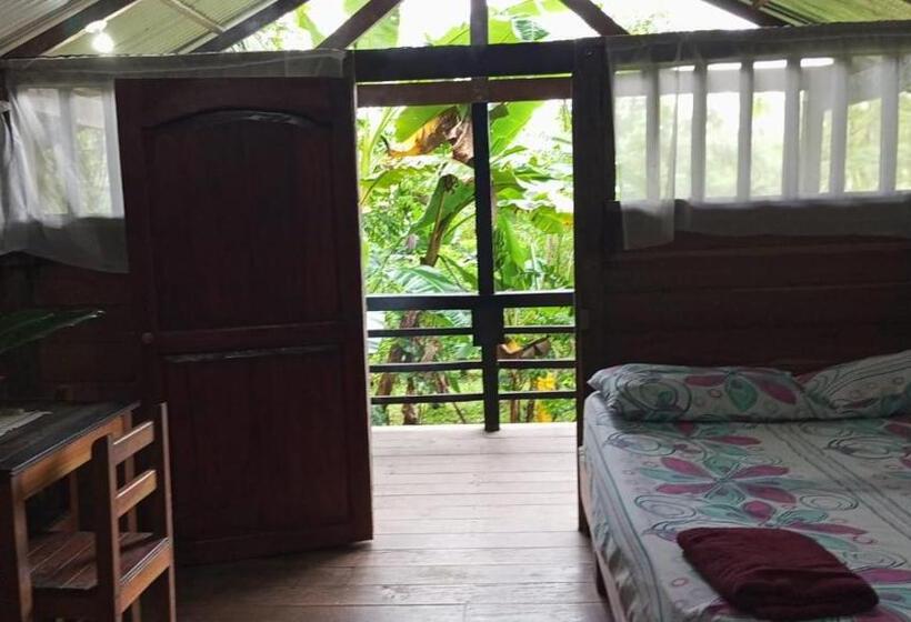 هاستل Posada Madre Tierra