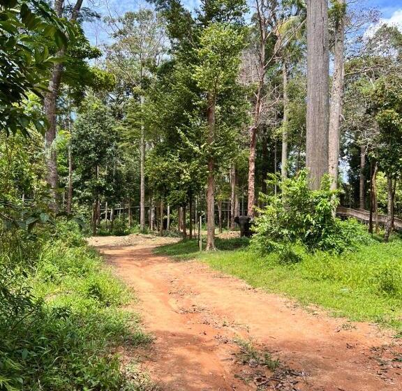 مبيت وإفطار Al Villa Kecv