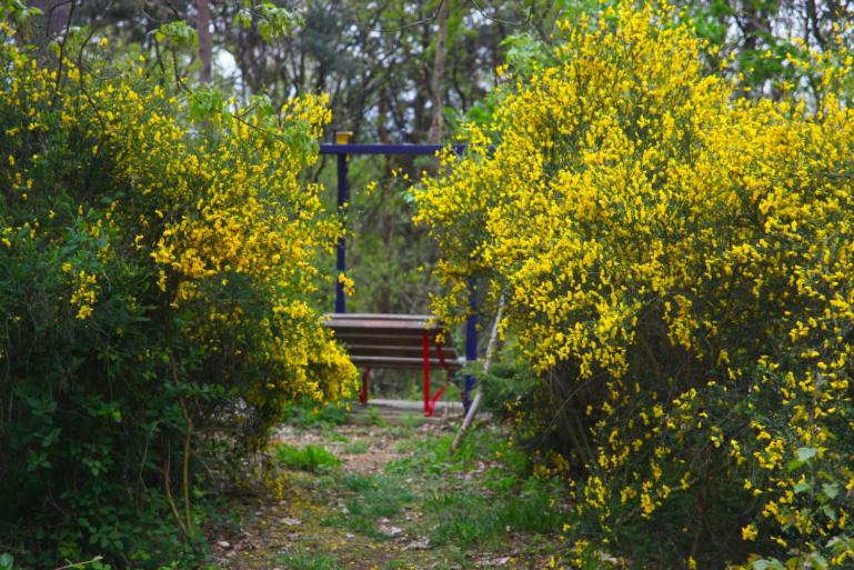Bed and Breakfast Couette Et Café Chez Adrien