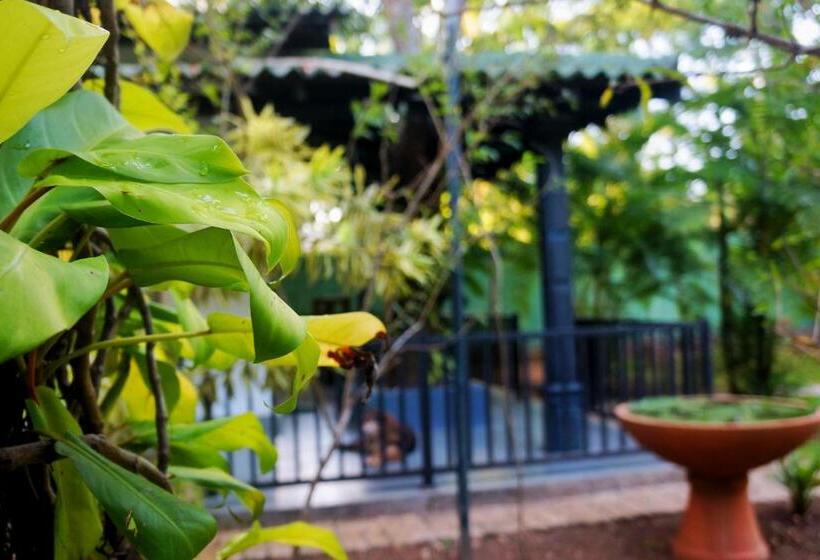 مبيت وإفطار Danu Resort