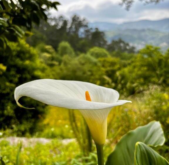 ベッドアンドブレックファースト Qg Quinta De Grovelas