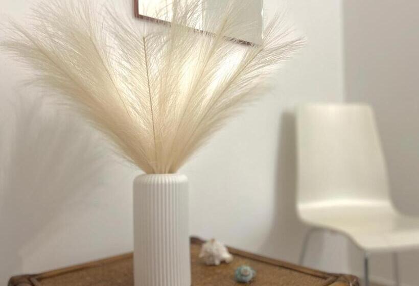 Bed and Breakfast Salsedine