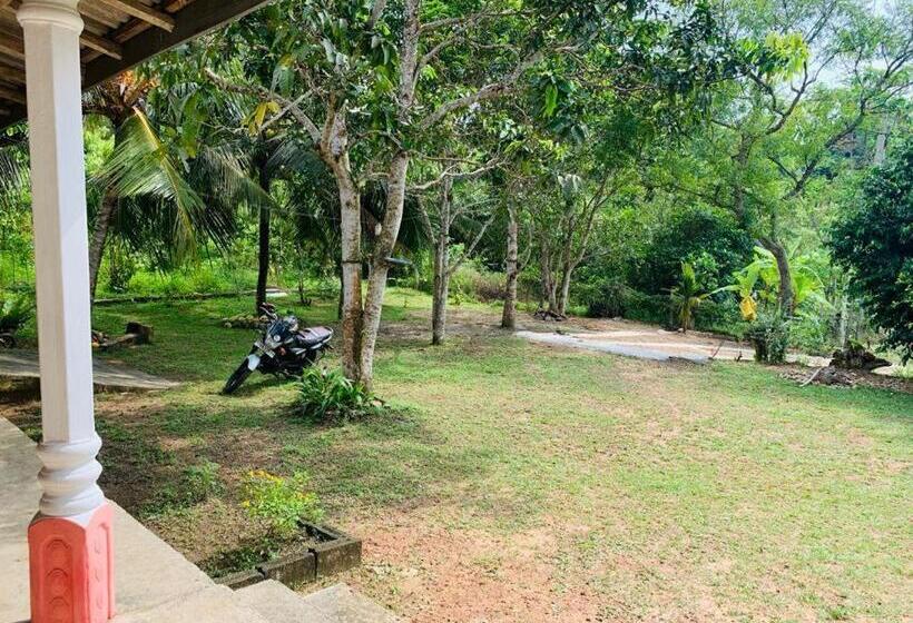 Bed and Breakfast Villa Quite Place By Mc