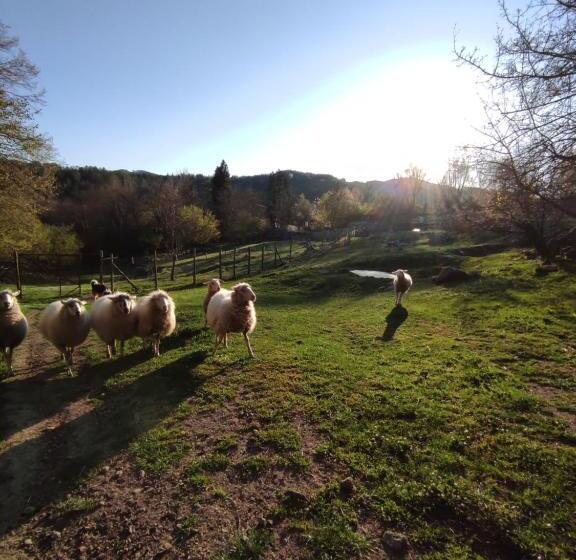 בית מלון כפרי Agriturismo Podere Asche