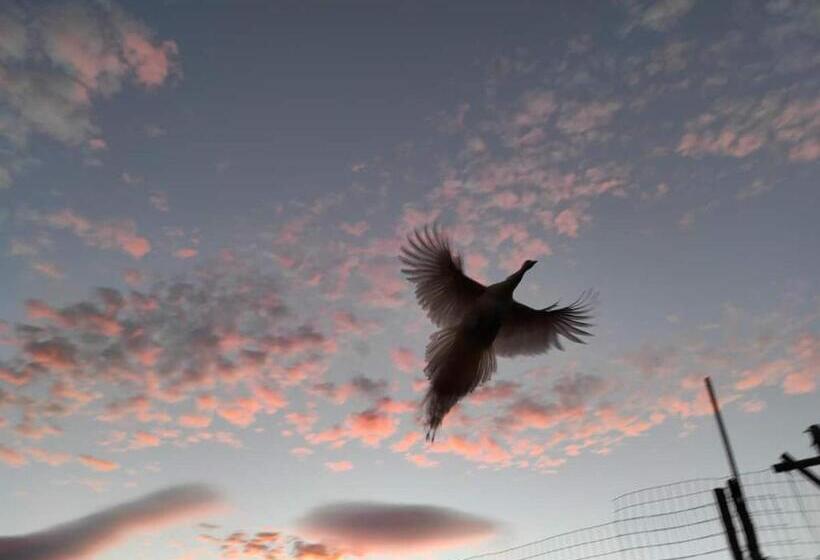 בית מלון כפרי Agriturismo Podere Asche