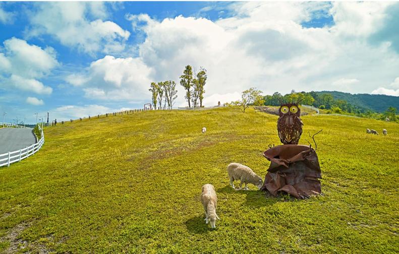 Отель Belle Fore Resort