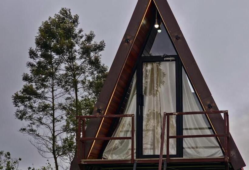 胶囊酒店 Wrongturnclub Hilltop Adventure Stay