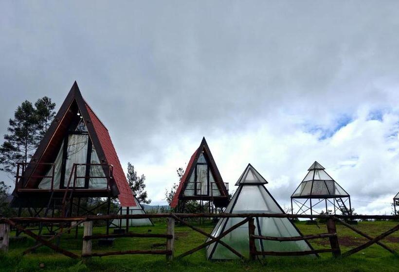 胶囊酒店 Wrongturnclub Hilltop Adventure Stay