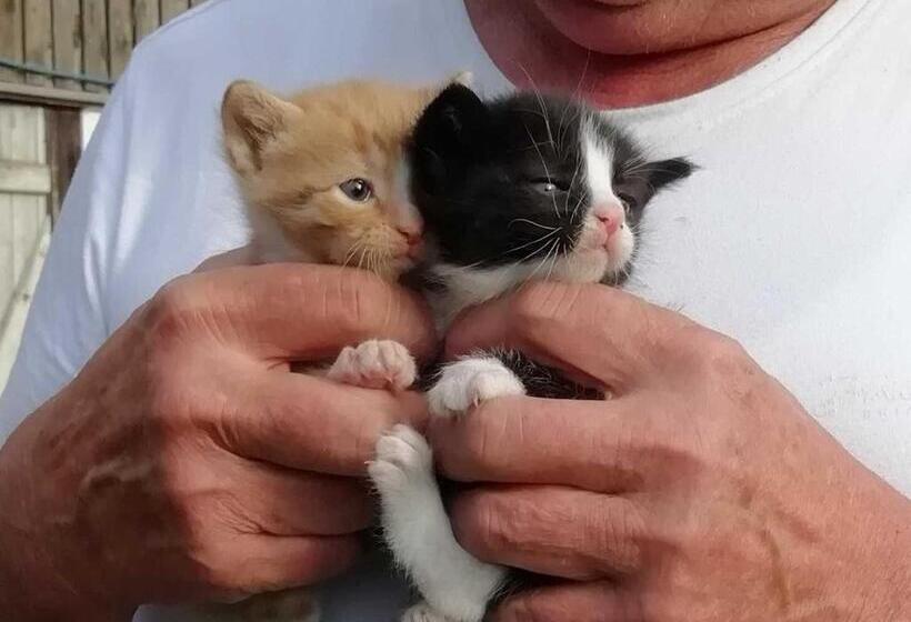 Отель Ferienhaus Am Kleinbauernhof Gersdorf Bei Kühlungsborn