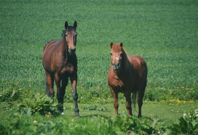 호텔 Landhaus Gersdorf Nahe Ostseebad Kühlungsborn