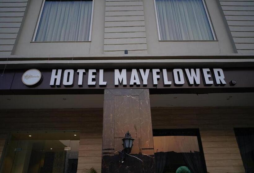 בית מלון כפרי Mayflower