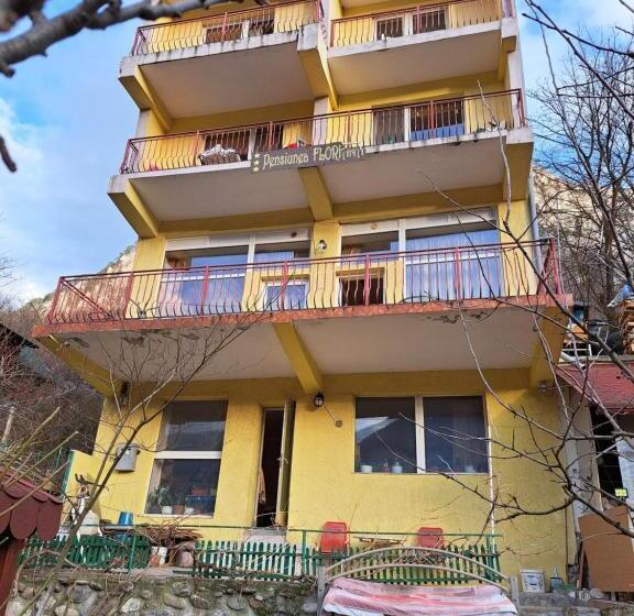 酒店 Pensiunea Floriana