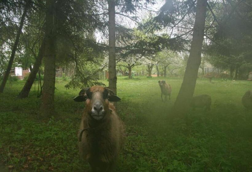 酒店 Reetdach Ferienhaus Nahe Ostseebad Kühlungsborn